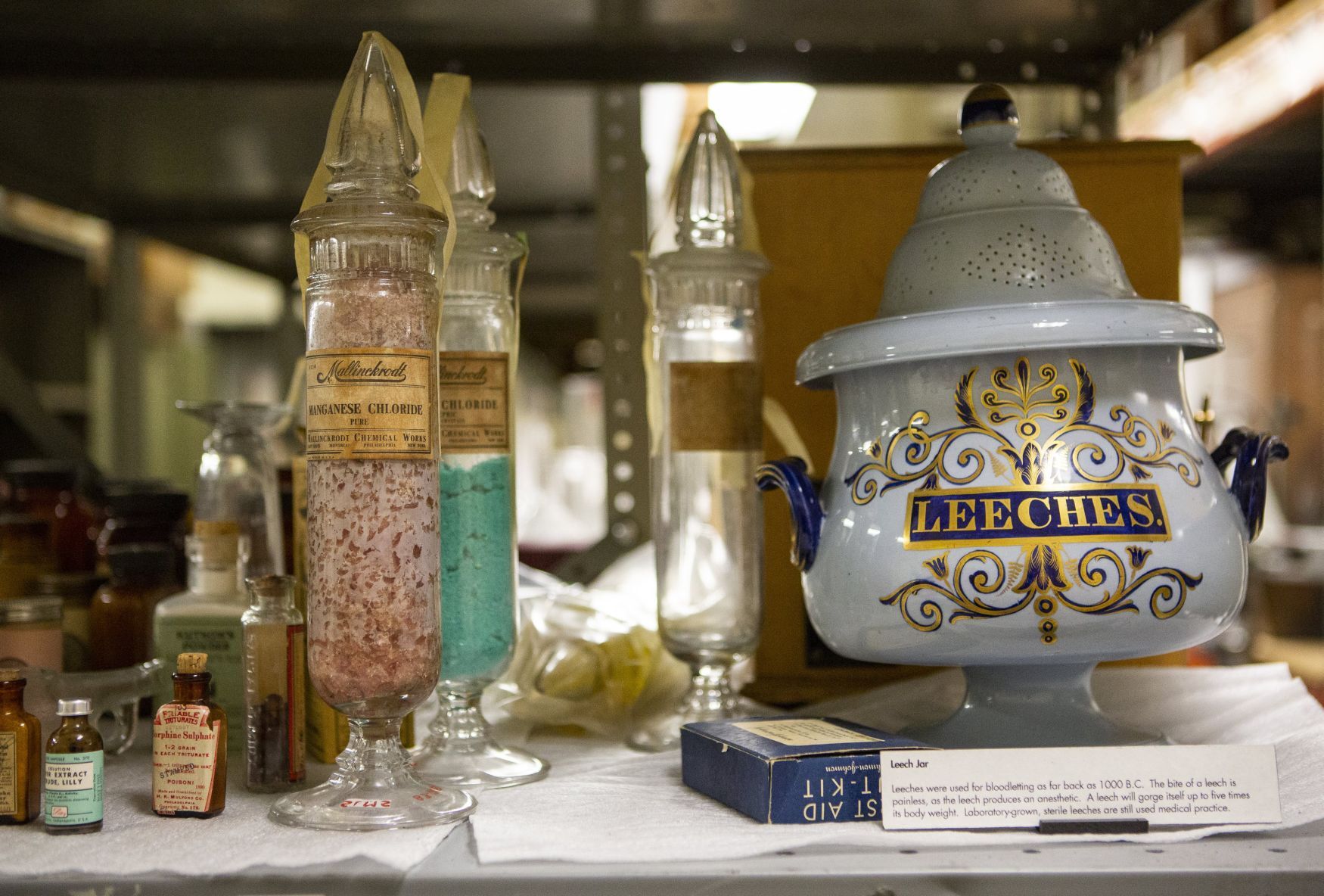 Science Center Collections